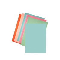 Esselte Inlay Folders (1023402)